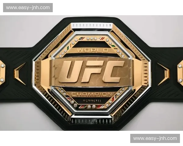 UFC赛后评分揭秘：如何衡量一场激烈战斗的胜负